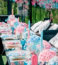 Fiesta de revelación de género